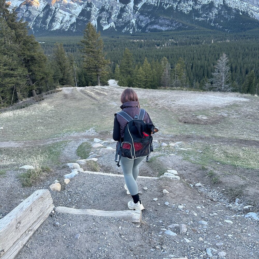 Pet Carrier Backpack for hiking - Picture 3 of 5
